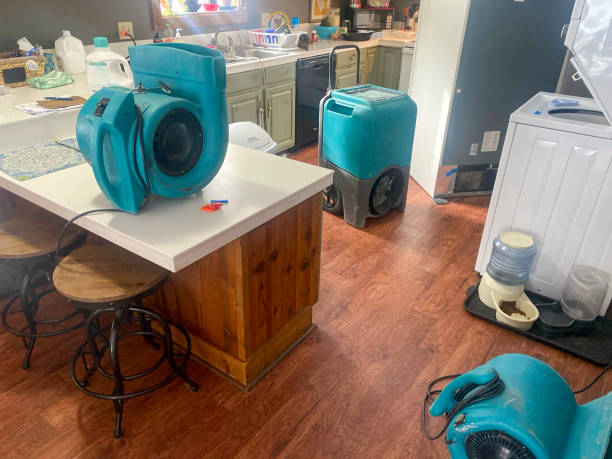Best Water damage cleanup near me  in Stapleton, AL