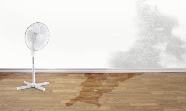 Local water damage restoration in Stapleton, AL
