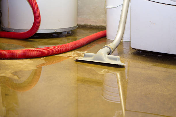 Best Basement water damage restoration  in Stapleton, AL