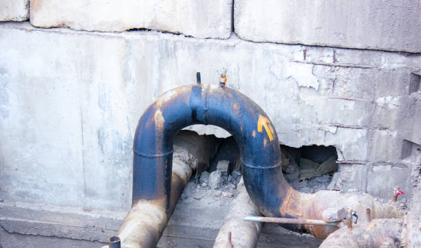 Best Water damage restoration near me  in Stapleton, AL