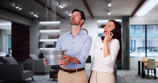 Best Water damage restoration specialists  in Stapleton, AL